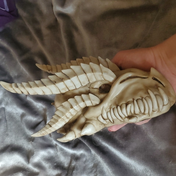 Dragon skull - Picture 3 of 4
